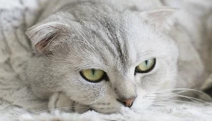 开云体育入口-HTH华体会：点亮日常的运动之光